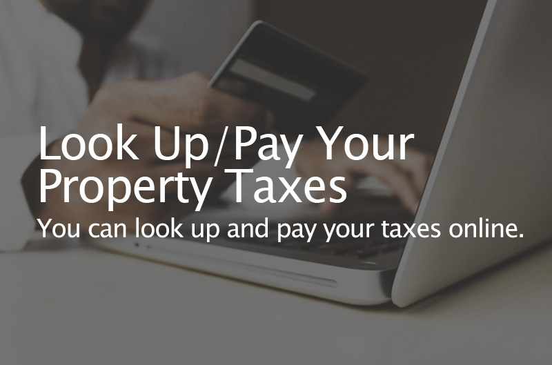 Photo of a man holding up a cell phone. Caption: Look Up / Pay Your Property Taxes. You can look up and pay your taxes omloine or use our My Property app.
