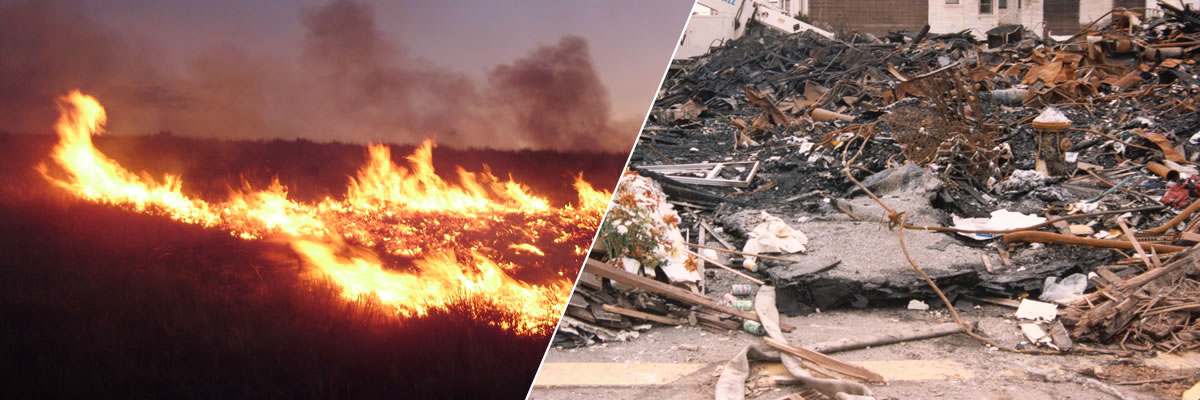 Photographs of a wildfire and earthquake damage.